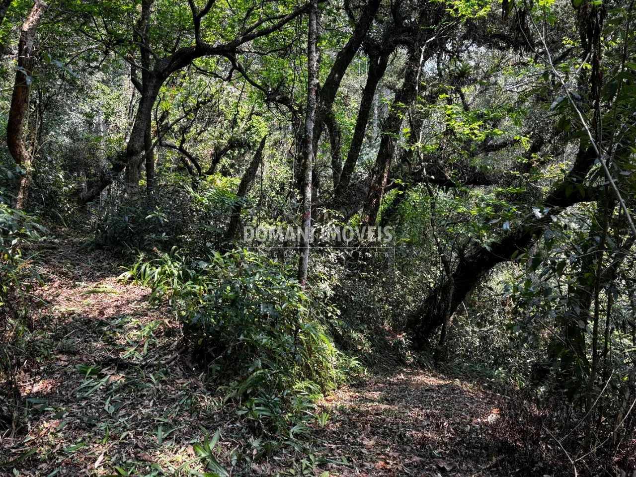 Plot for sale of 5 acres in Campos do Jordão, SP, Brazil
