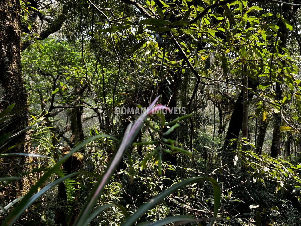 Plot for sale of 5 acres in Campos do Jordão, SP, Brazil