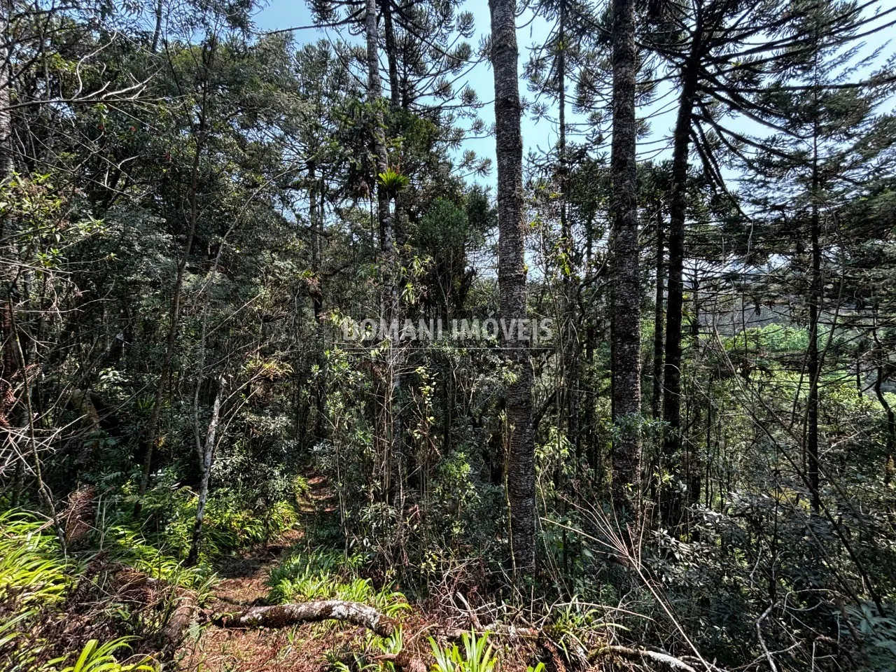 Plot for sale of 5 acres in Campos do Jordão, SP, Brazil