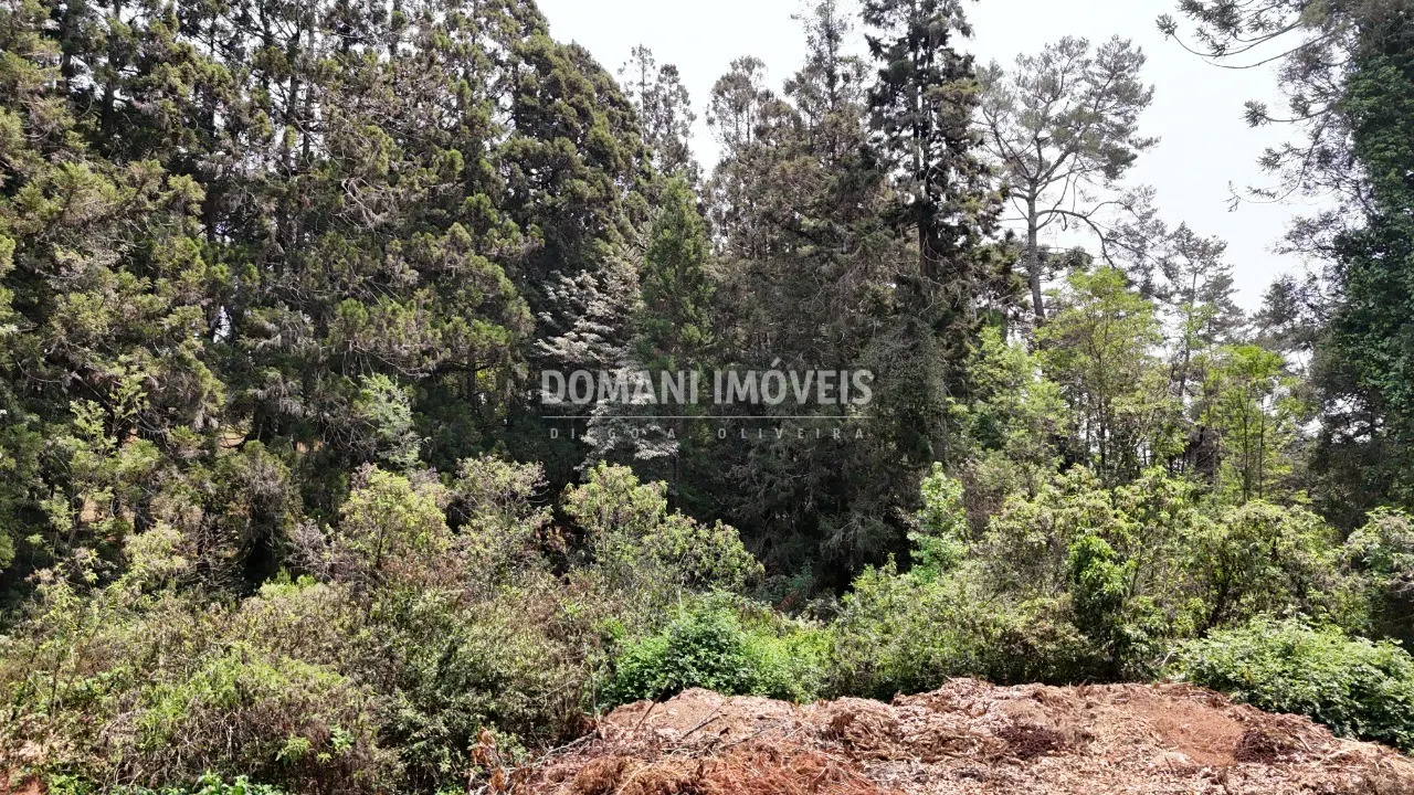 Plot for sale of 5 acres in Campos do Jordão, SP, Brazil