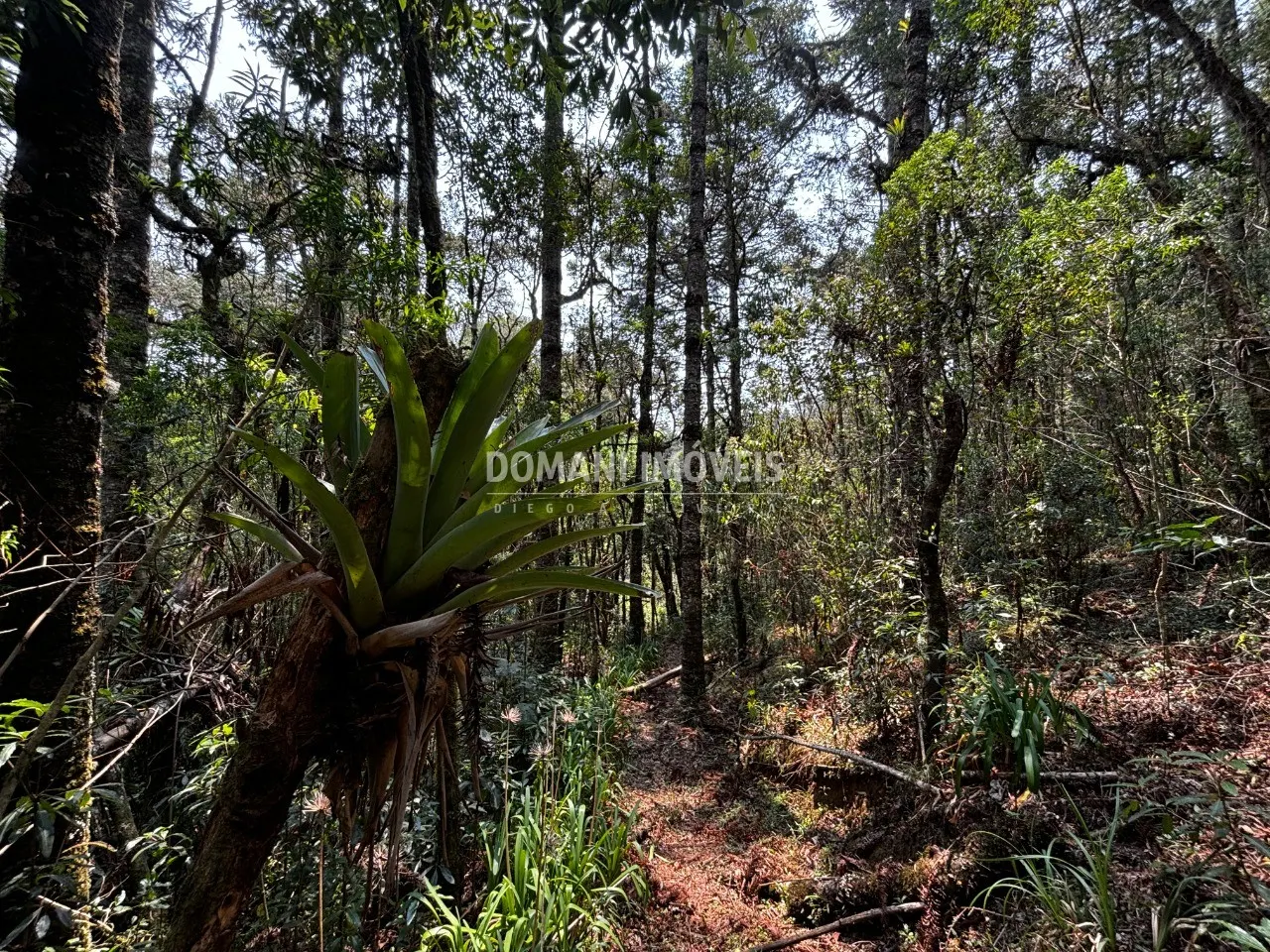 Plot for sale of 5 acres in Campos do Jordão, SP, Brazil