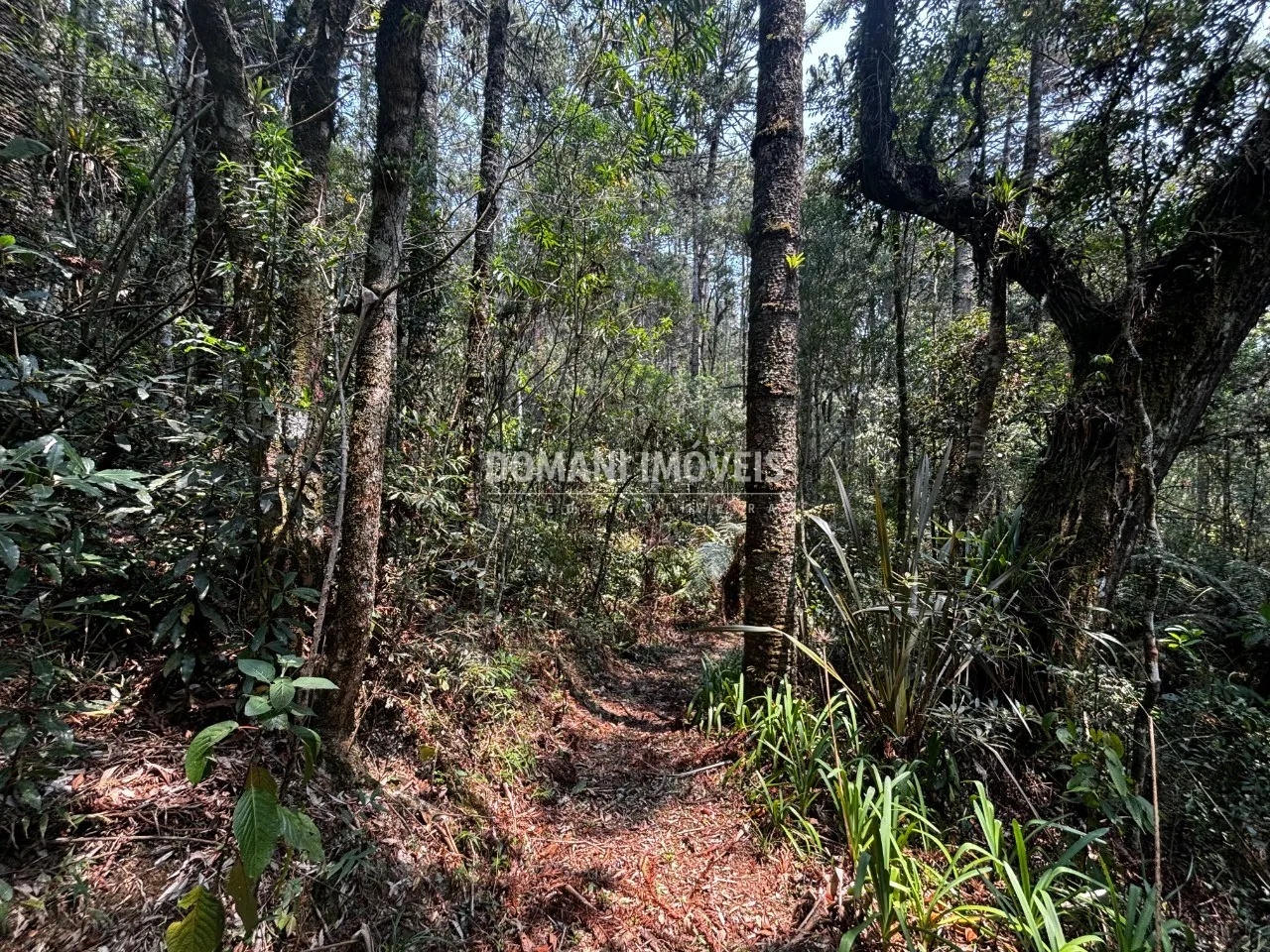 Plot for sale of 5 acres in Campos do Jordão, SP, Brazil
