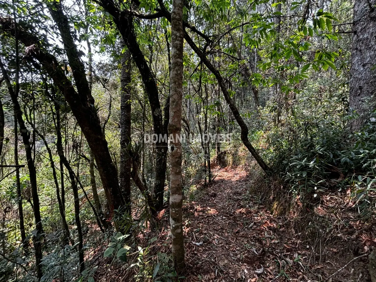 Plot for sale of 5 acres in Campos do Jordão, SP, Brazil