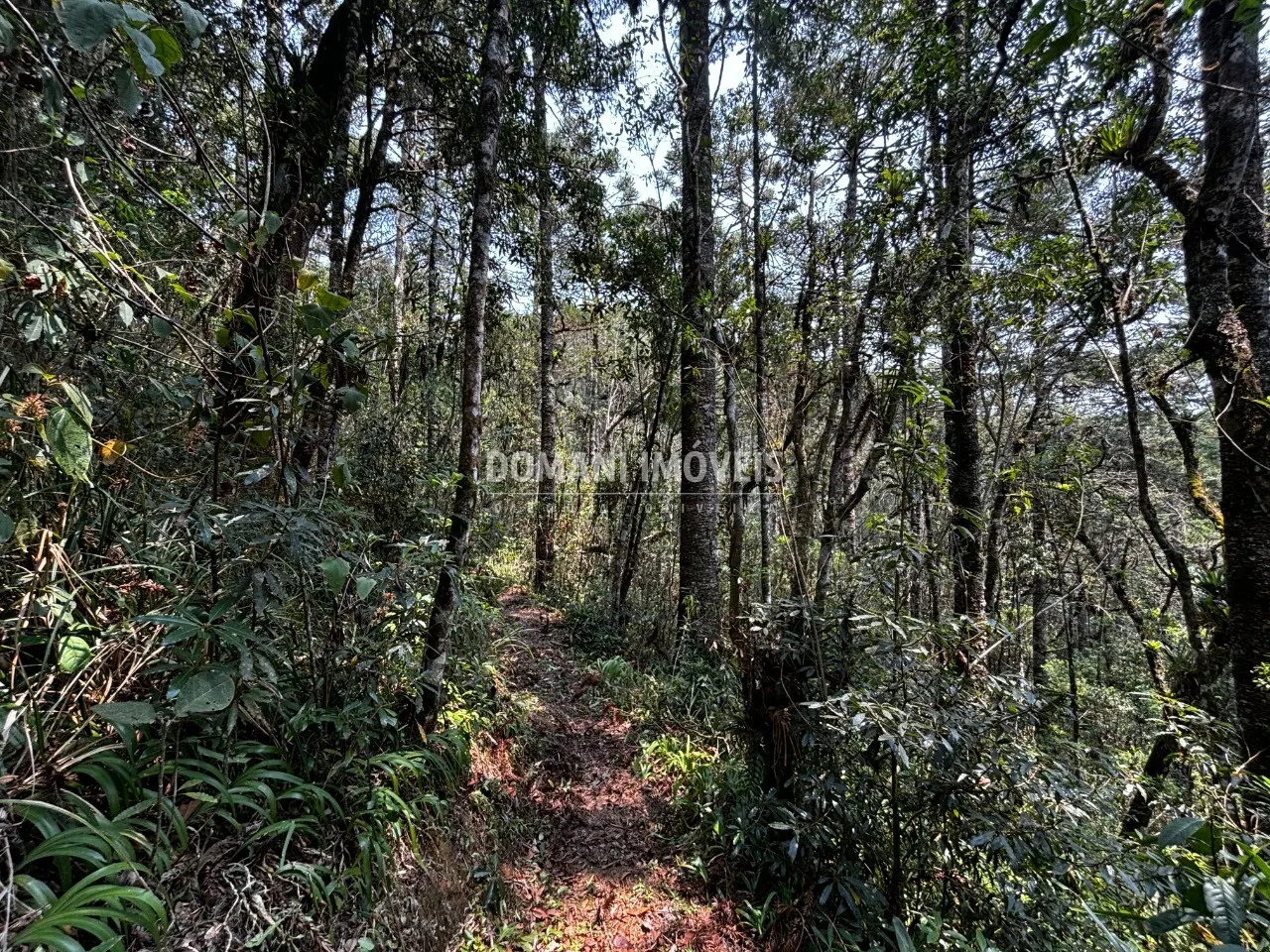 Plot for sale of 5 acres in Campos do Jordão, SP, Brazil
