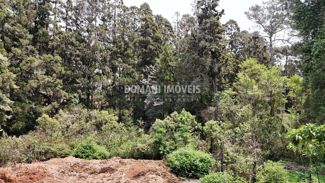 Plot for sale of 5 acres in Campos do Jordão, SP, Brazil