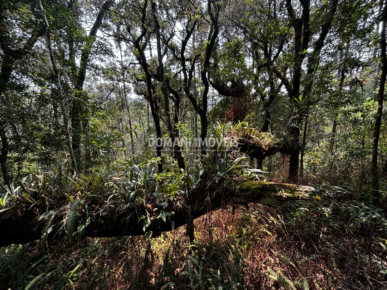 Plot for sale of 5 acres in Campos do Jordão, SP, Brazil