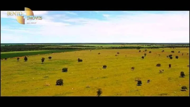 Farm for sale of 26,761 acres in Canarana, MT, Brazil