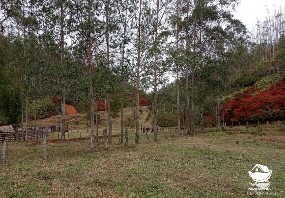 Fazenda à venda de 279 ha em São José dos Campos, SP, Brasil