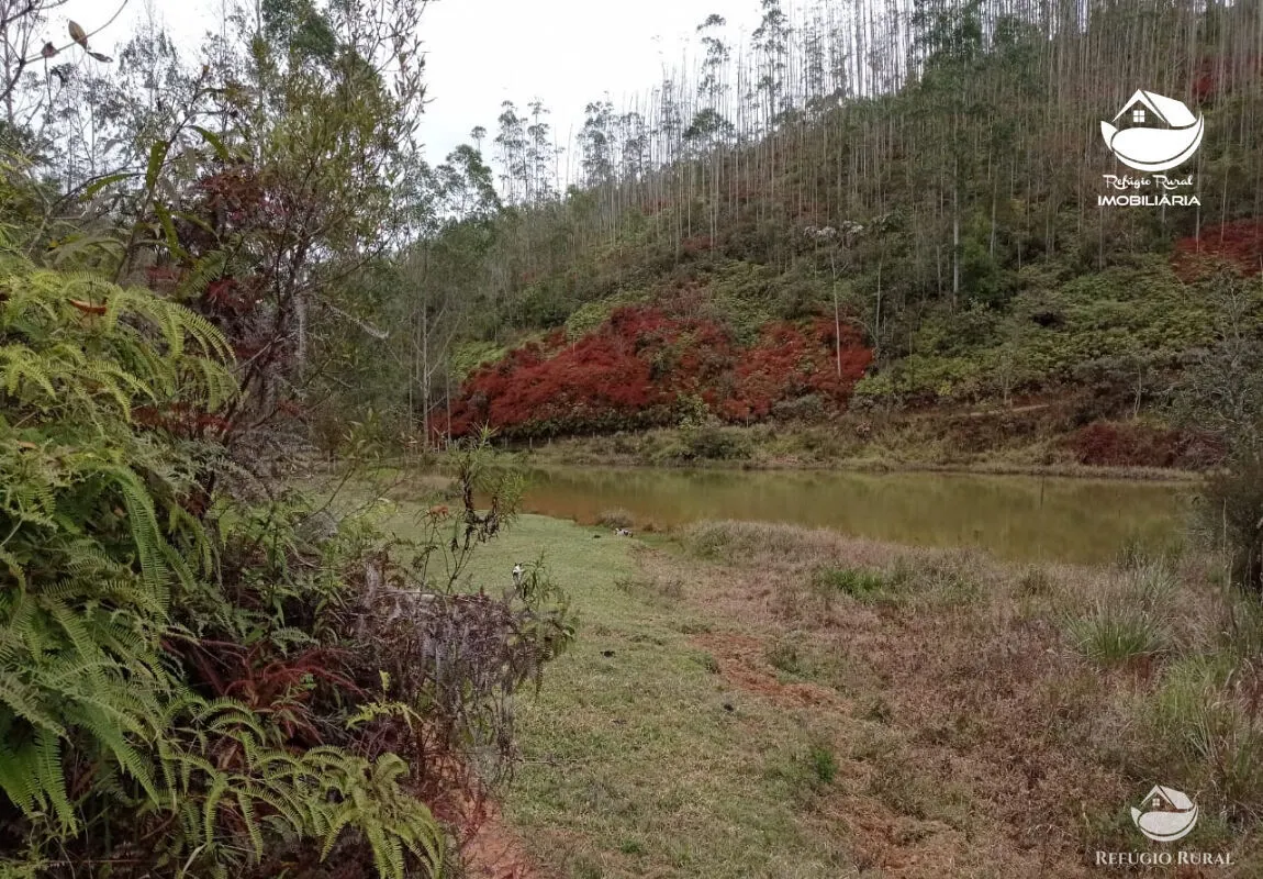Fazenda à venda de 279 ha em São José dos Campos, SP, Brasil