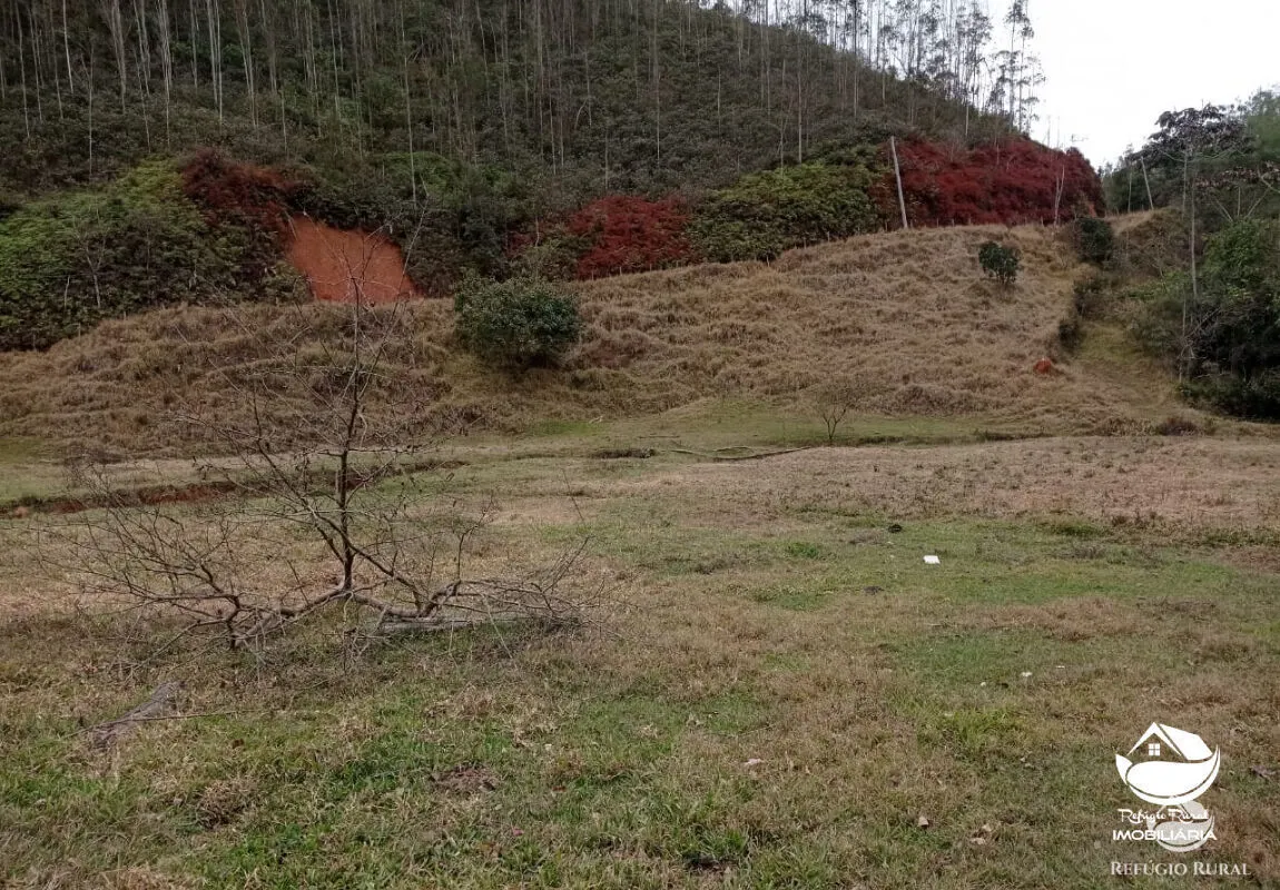 Fazenda à venda de 279 ha em São José dos Campos, SP, Brasil