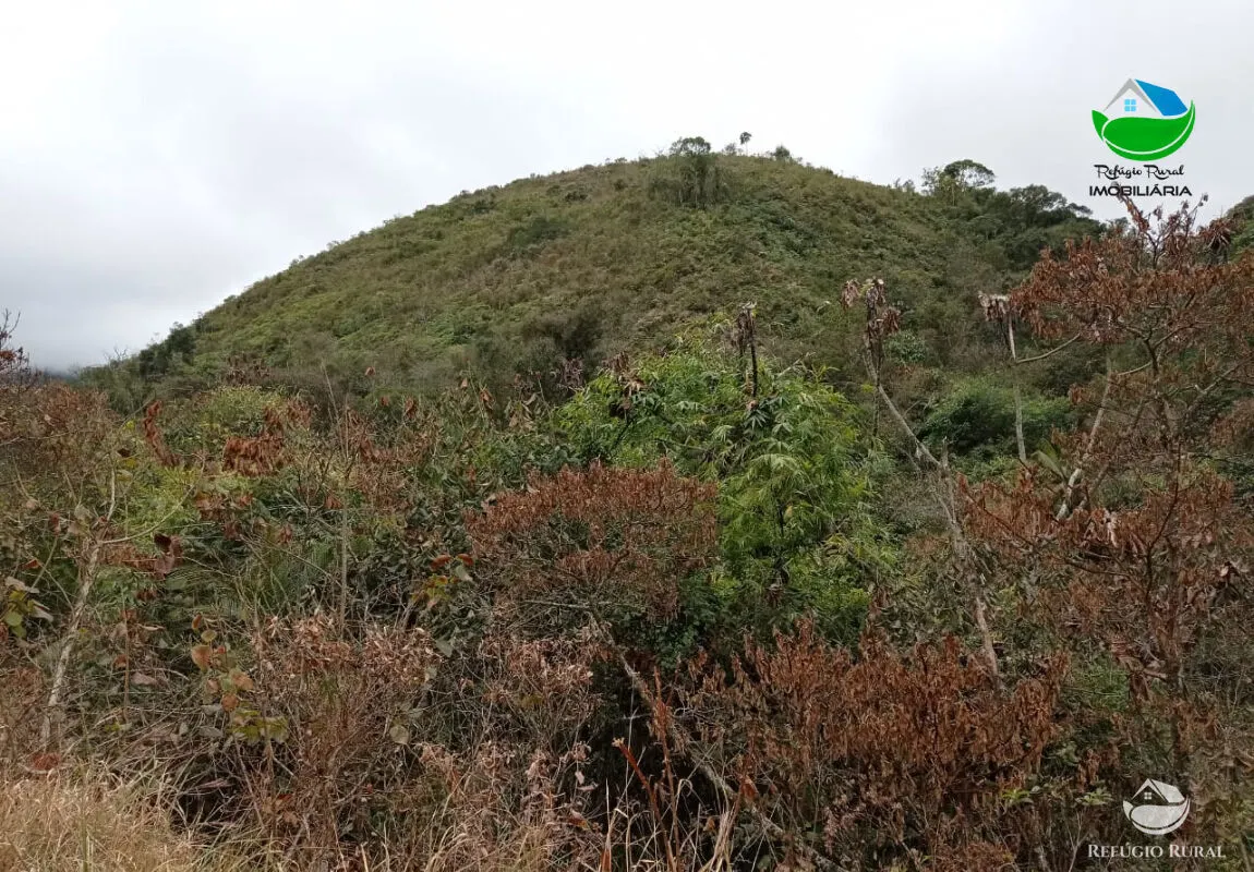 Fazenda à venda de 279 ha em São José dos Campos, SP, Brasil