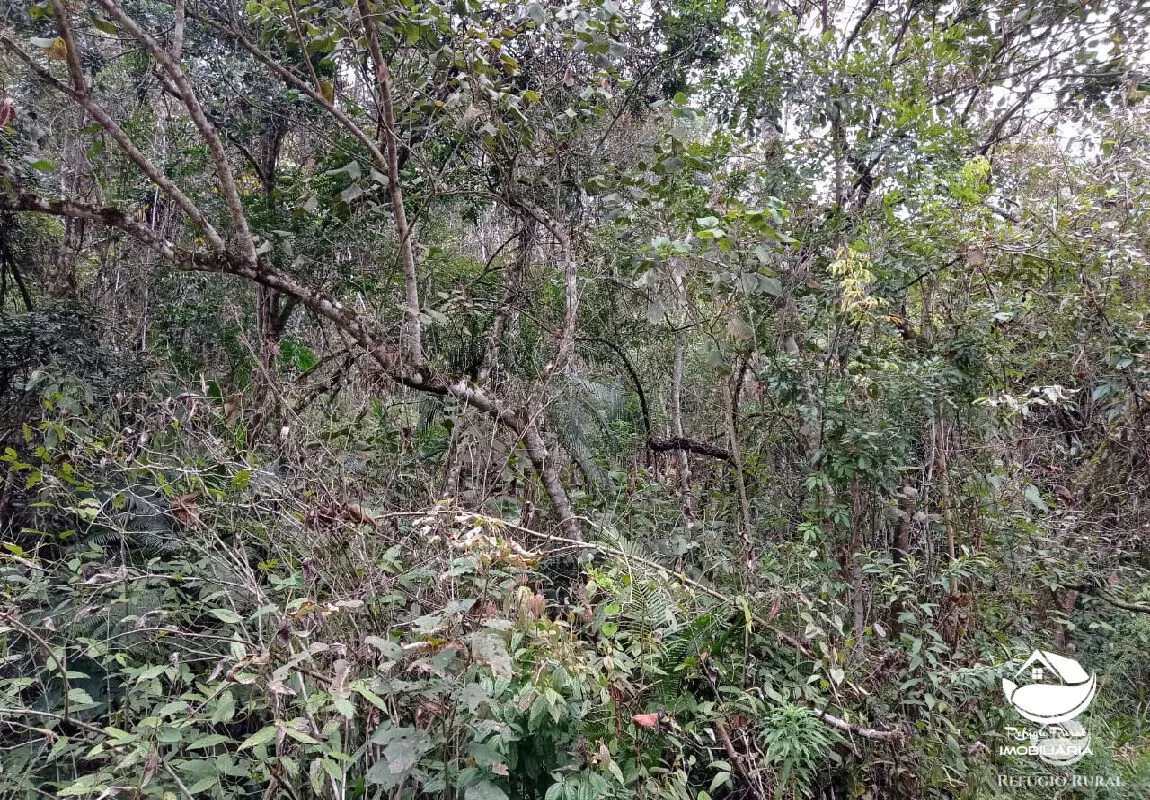 Fazenda à venda de 279 ha em São José dos Campos, SP, Brasil