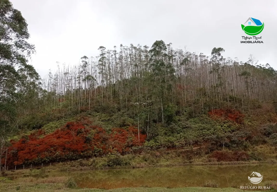 Fazenda à venda de 279 ha em São José dos Campos, SP, Brasil