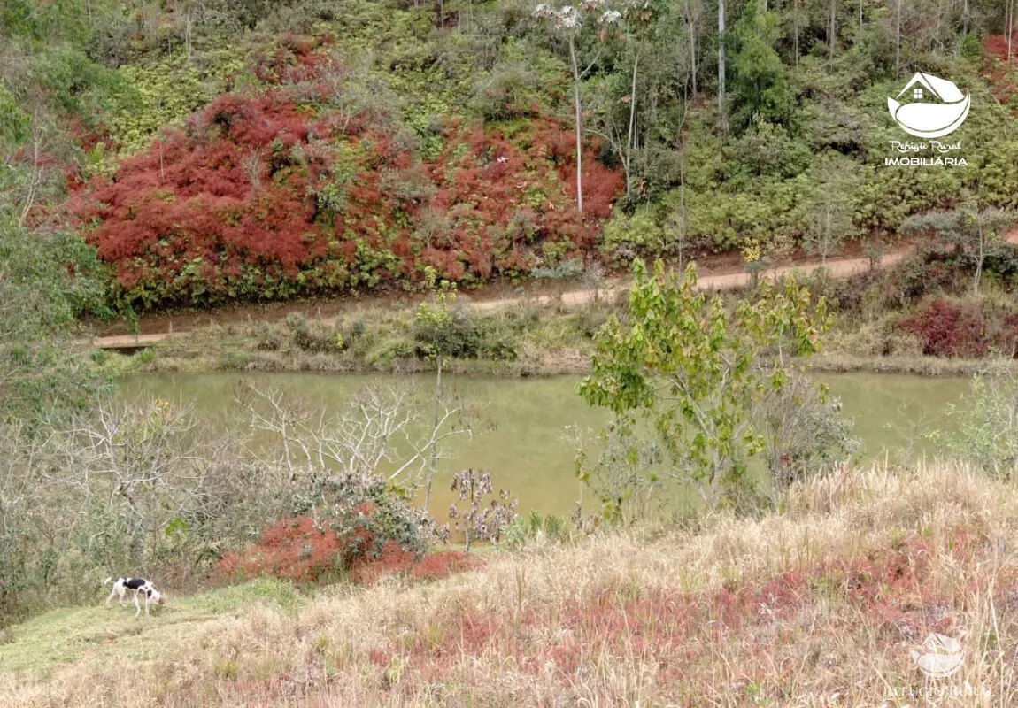 Fazenda à venda de 279 ha em São José dos Campos, SP, Brasil