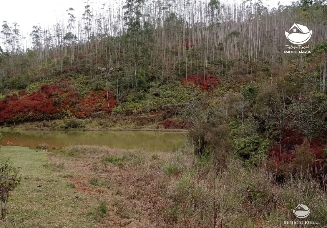 Fazenda à venda de 279 ha em São José dos Campos, SP, Brasil