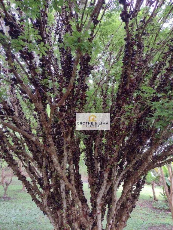 Chácara à venda de 6.160 m² em Paraibuna, SP, Brasil