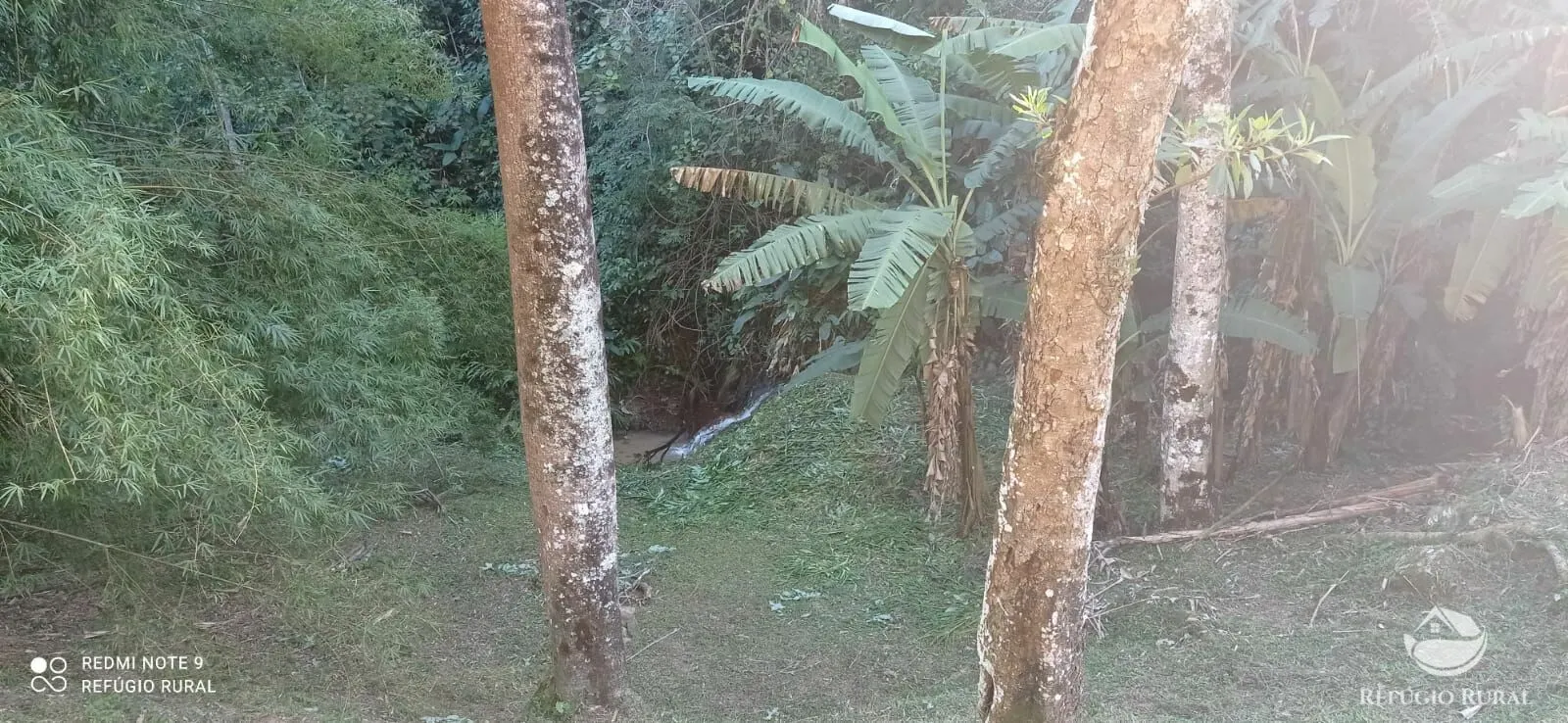 Sítio à venda de 14 ha em Monteiro Lobato, SP, Brasil