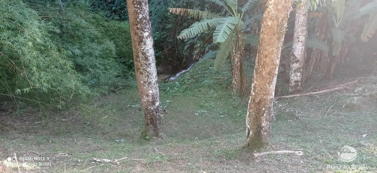 Sítio à venda de 14 ha em Monteiro Lobato, SP, Brasil