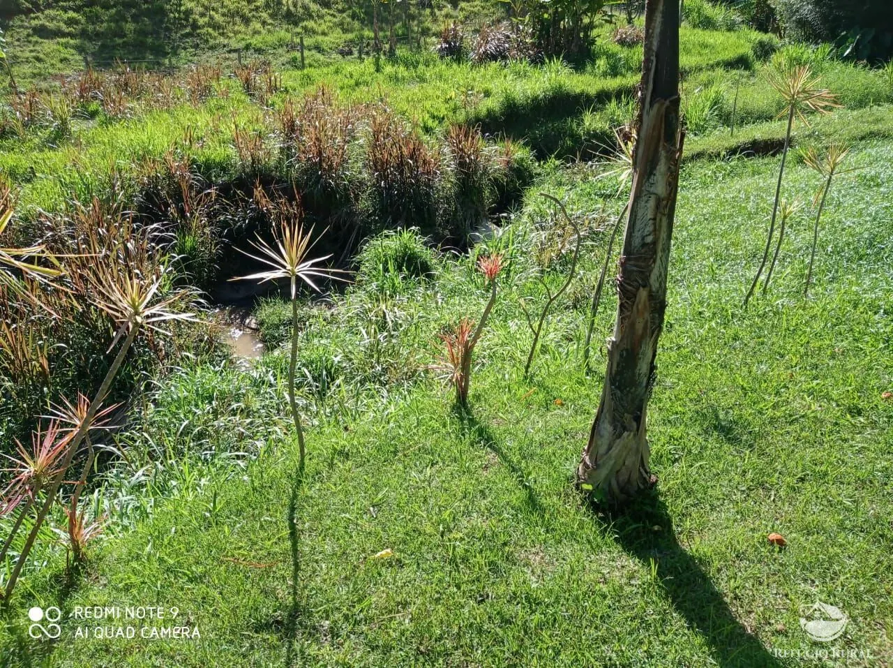 Sítio à venda de 14 ha em Monteiro Lobato, SP, Brasil
