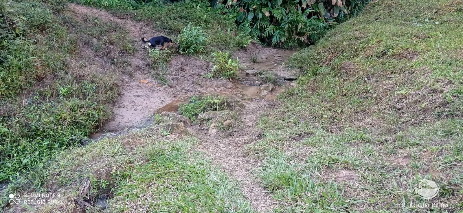 Sítio à venda de 14 ha em Monteiro Lobato, SP, Brasil
