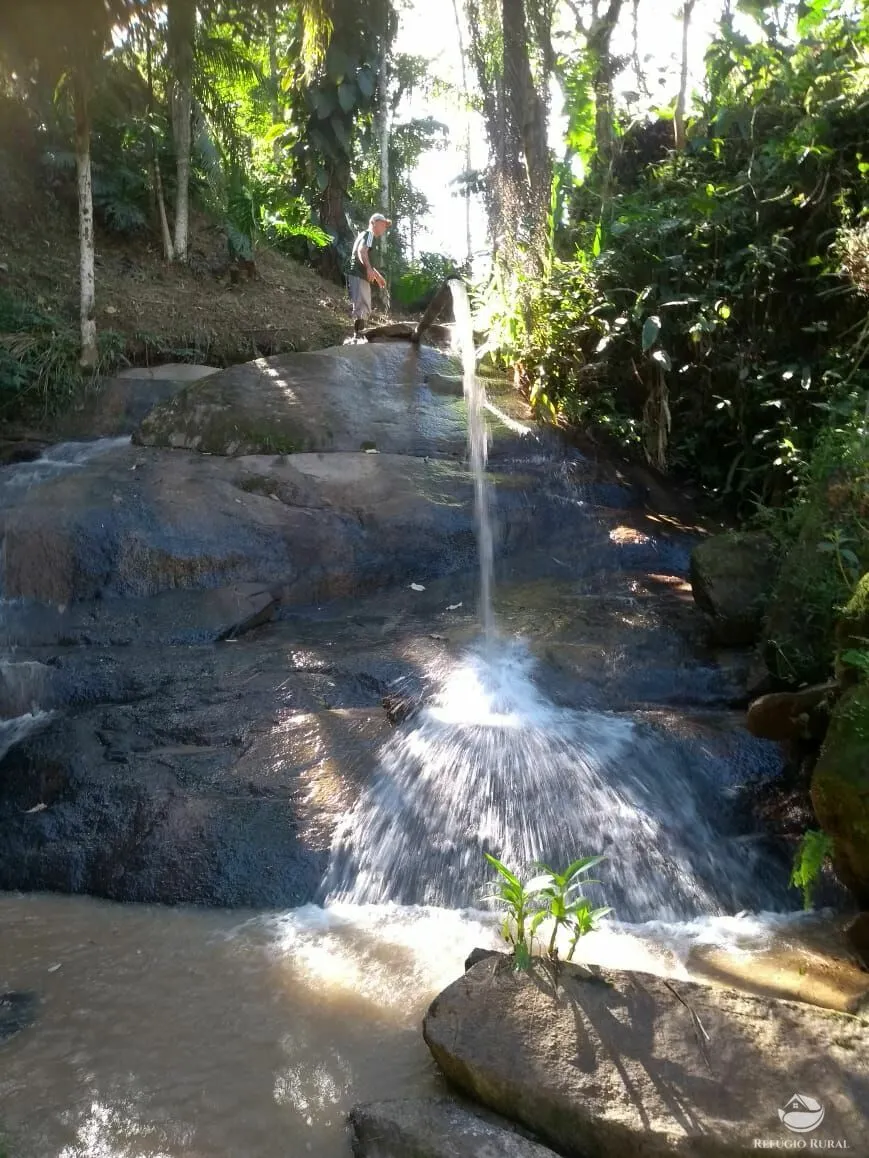 Small farm for sale of 35 acres in Monteiro Lobato, SP, Brazil