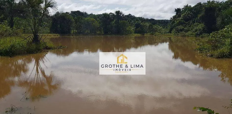 Fazenda à venda de 9.910 ha em Araguaína, TO, Brasil