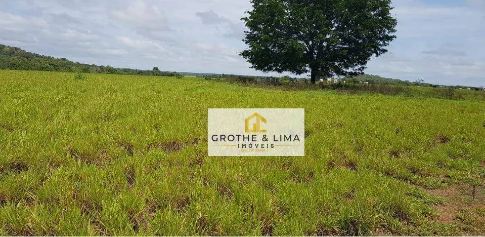 Fazenda à venda de 9.910 ha em Araguaína, TO, Brasil