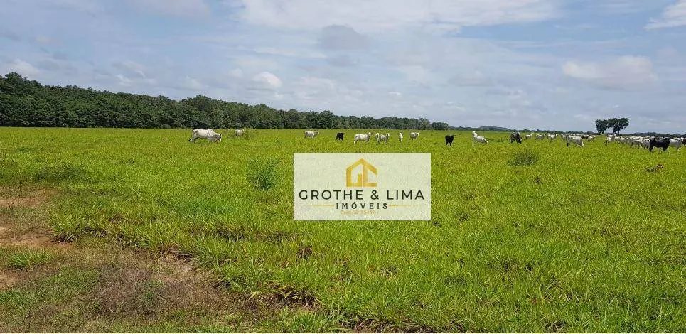 Fazenda à venda de 9.910 ha em Araguaína, TO, Brasil