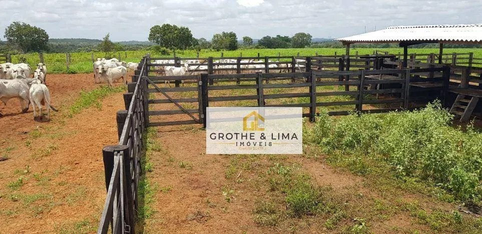 Fazenda à venda de 9.910 ha em Araguaína, TO, Brasil
