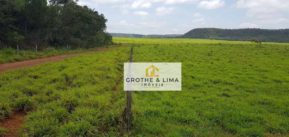 Fazenda à venda de 9.910 ha em Araguaína, TO, Brasil