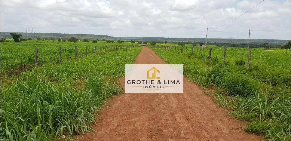Fazenda à venda de 9.910 ha em Araguaína, TO, Brasil