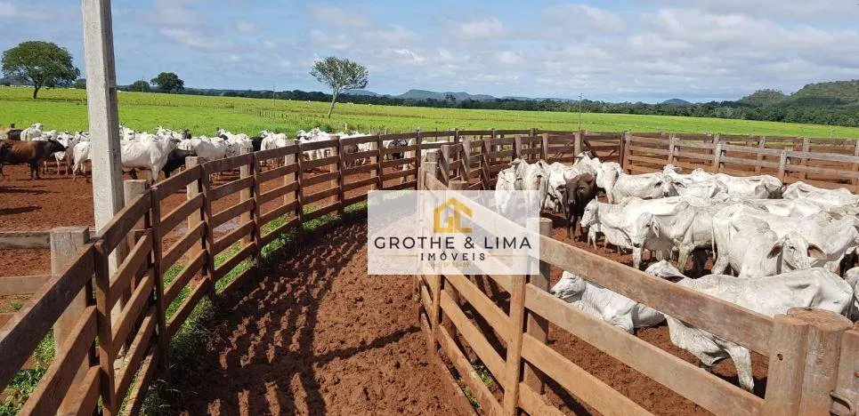 Fazenda à venda de 9.910 ha em Araguaína, TO, Brasil
