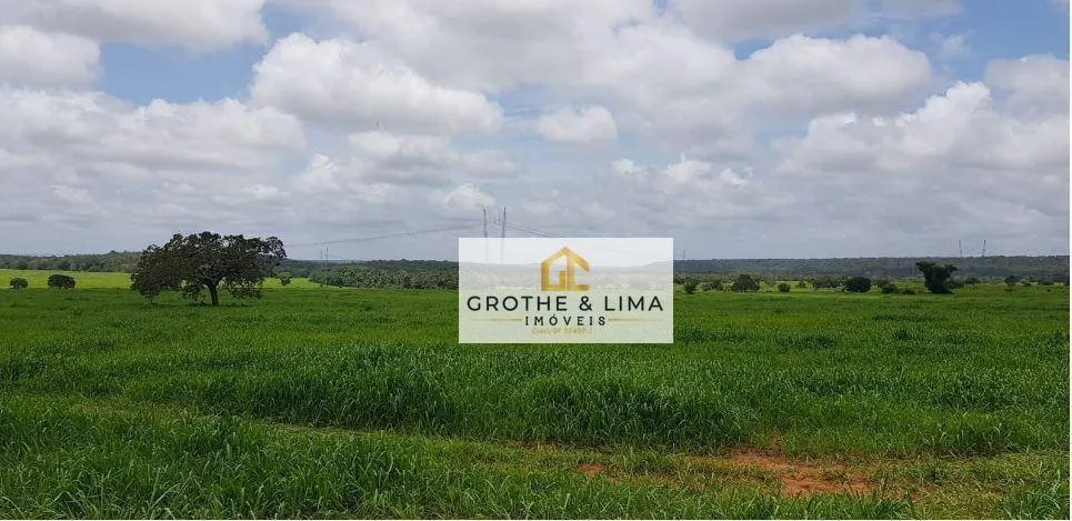 Fazenda à venda de 9.910 ha em Araguaína, TO, Brasil
