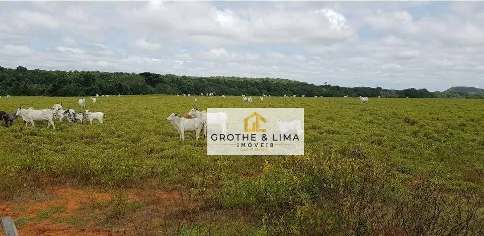 Fazenda à venda de 9.910 ha em Araguaína, TO, Brasil