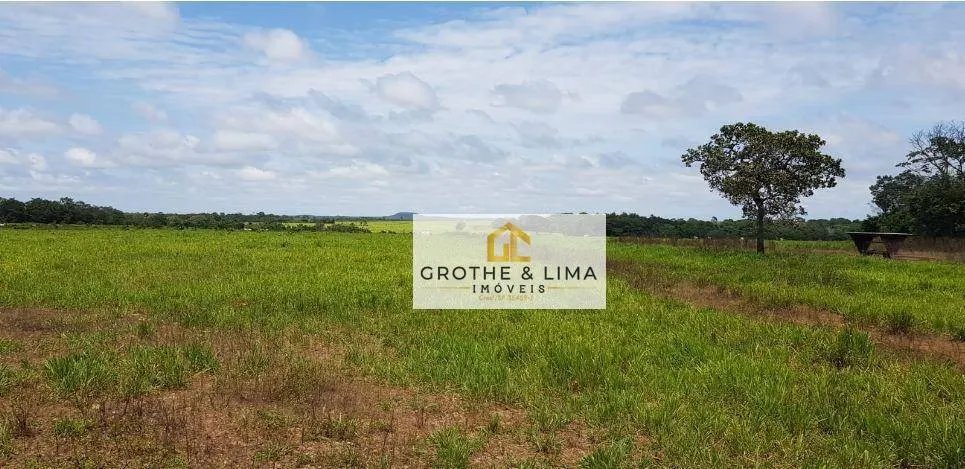 Fazenda à venda de 9.910 ha em Araguaína, TO, Brasil