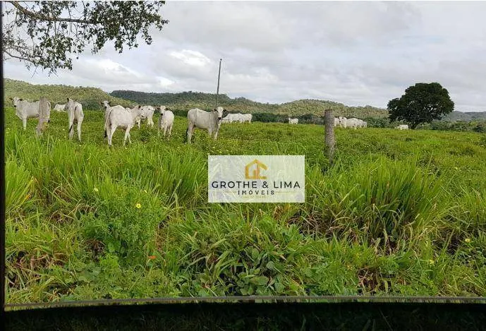 Fazenda à venda de 9.910 ha em Araguaína, TO, Brasil