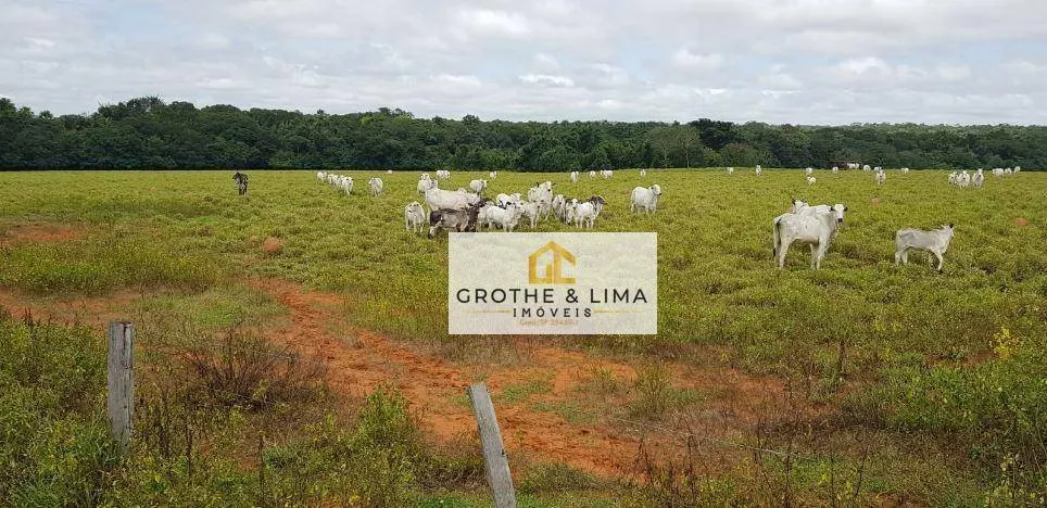 Fazenda à venda de 9.910 ha em Araguaína, TO, Brasil