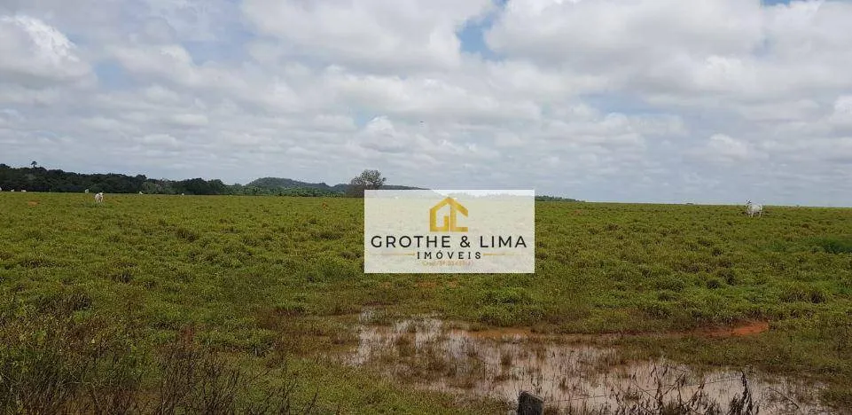 Fazenda à venda de 9.910 ha em Araguaína, TO, Brasil