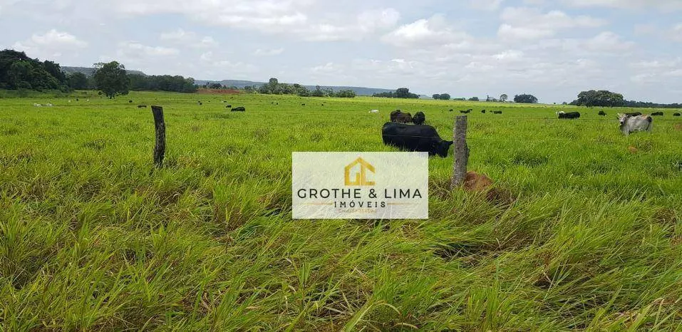 Fazenda à venda de 9.910 ha em Araguaína, TO, Brasil