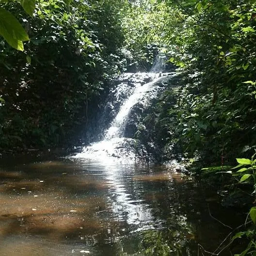 Fazenda à venda de 60 ha em Ilhéus, BA, Brasil