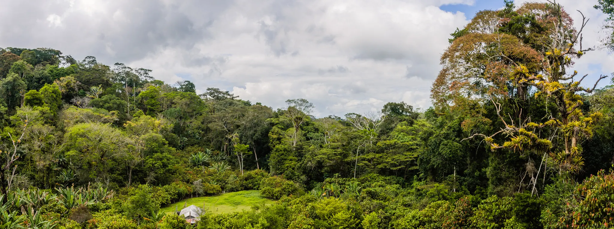 Fazenda à venda de 60 ha em Ilhéus, BA, Brasil