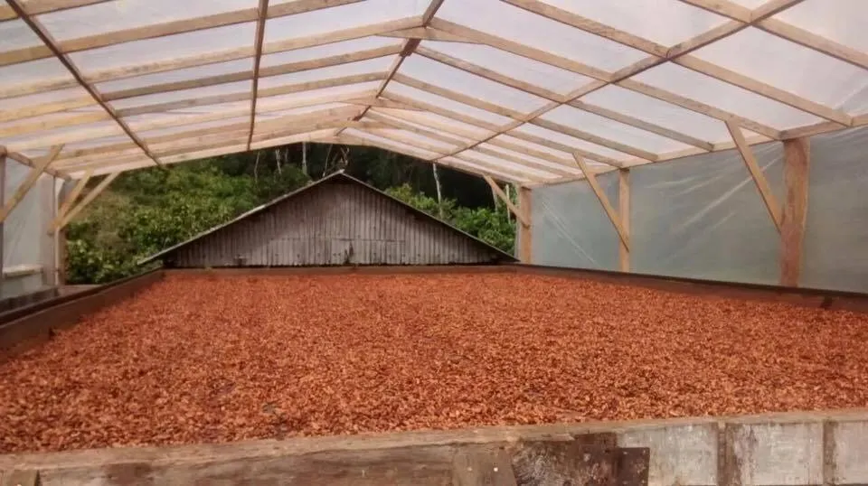 Fazenda à venda de 60 ha em Ilhéus, BA, Brasil