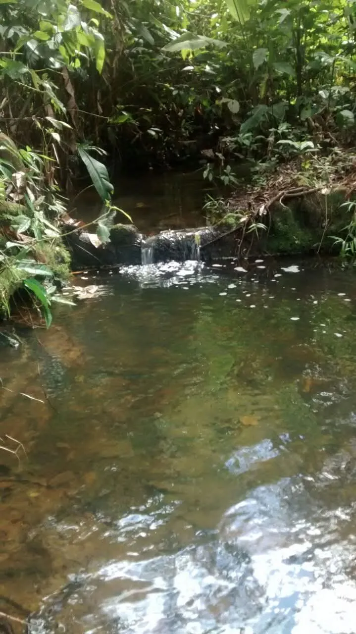 Fazenda à venda de 60 ha em Ilhéus, BA, Brasil