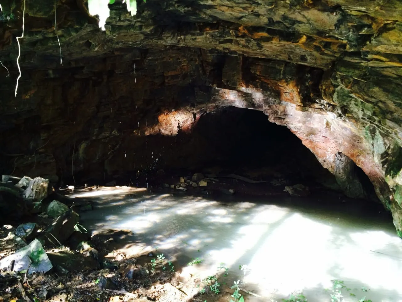 Sítio à venda de 16 ha em Piraju, SP, Brasil