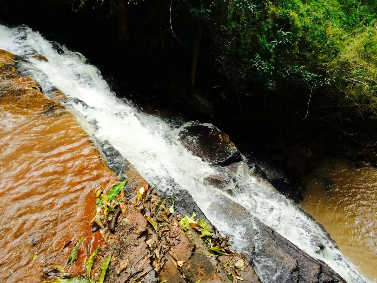 Sítio à venda de 16 ha em Piraju, SP, Brasil