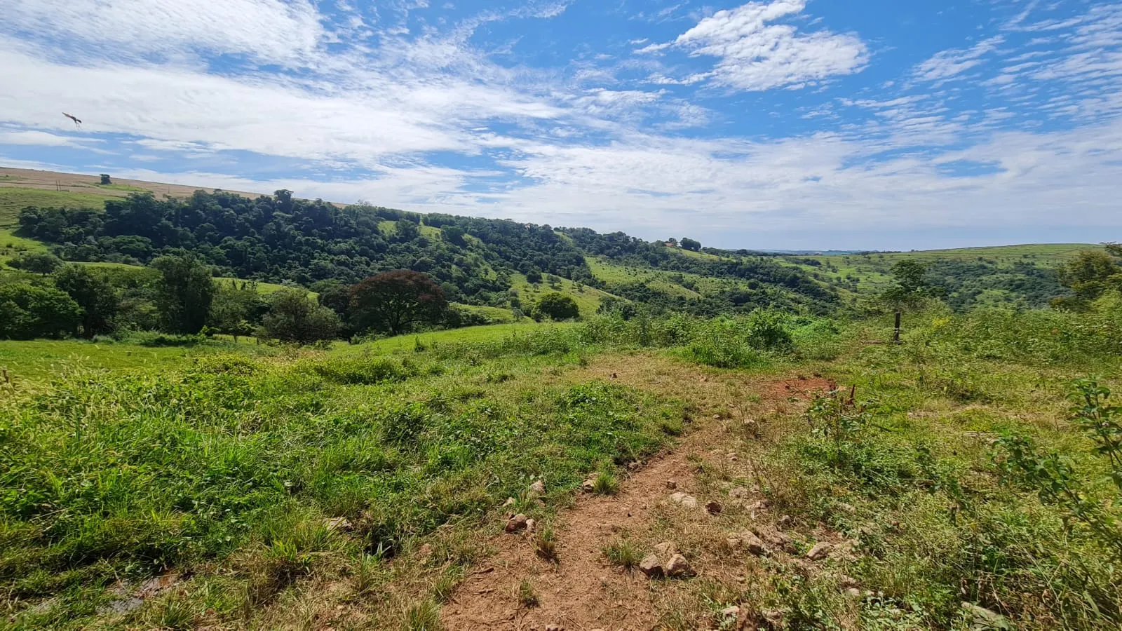 Sítio à venda de 16 ha em Piraju, SP, Brasil