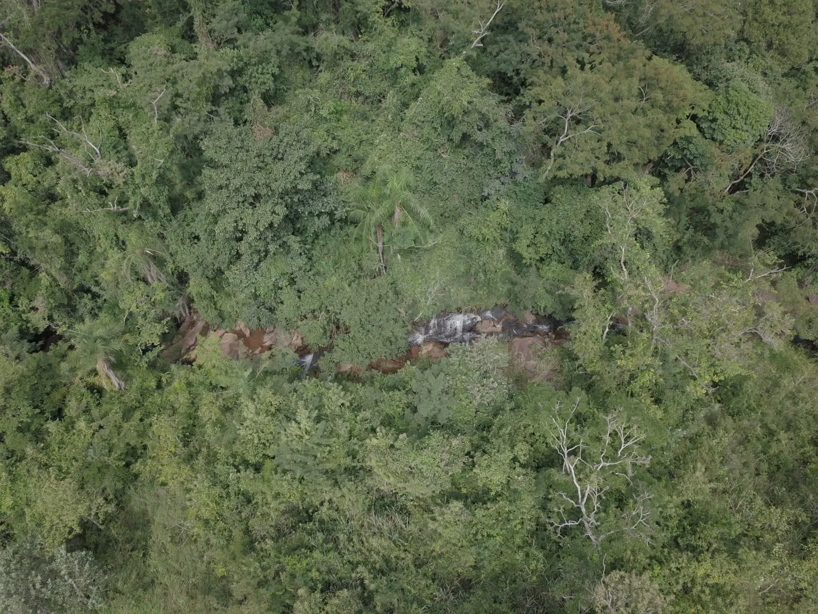 Sítio à venda de 16 ha em Piraju, SP, Brasil