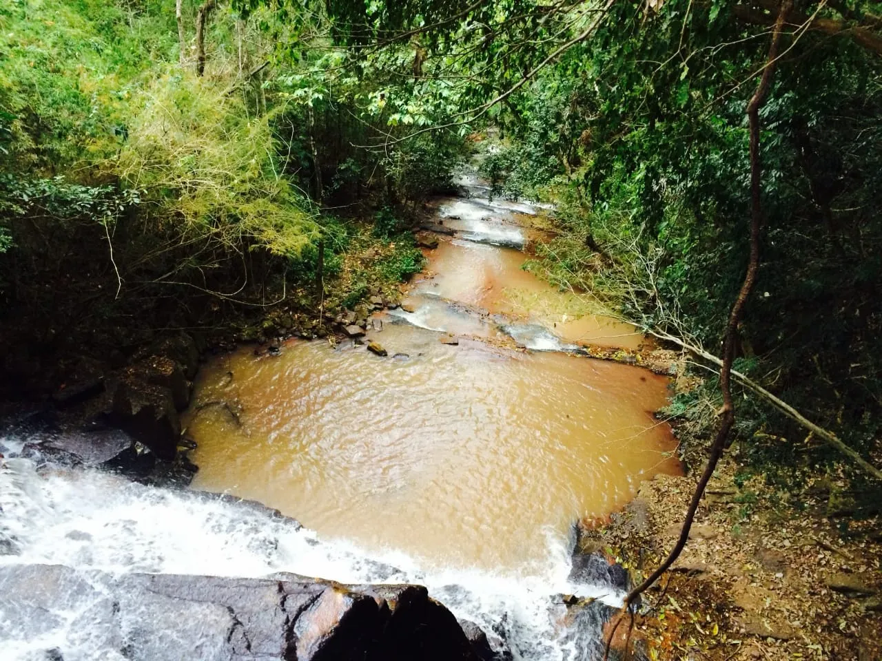 Sítio à venda de 16 ha em Piraju, SP, Brasil