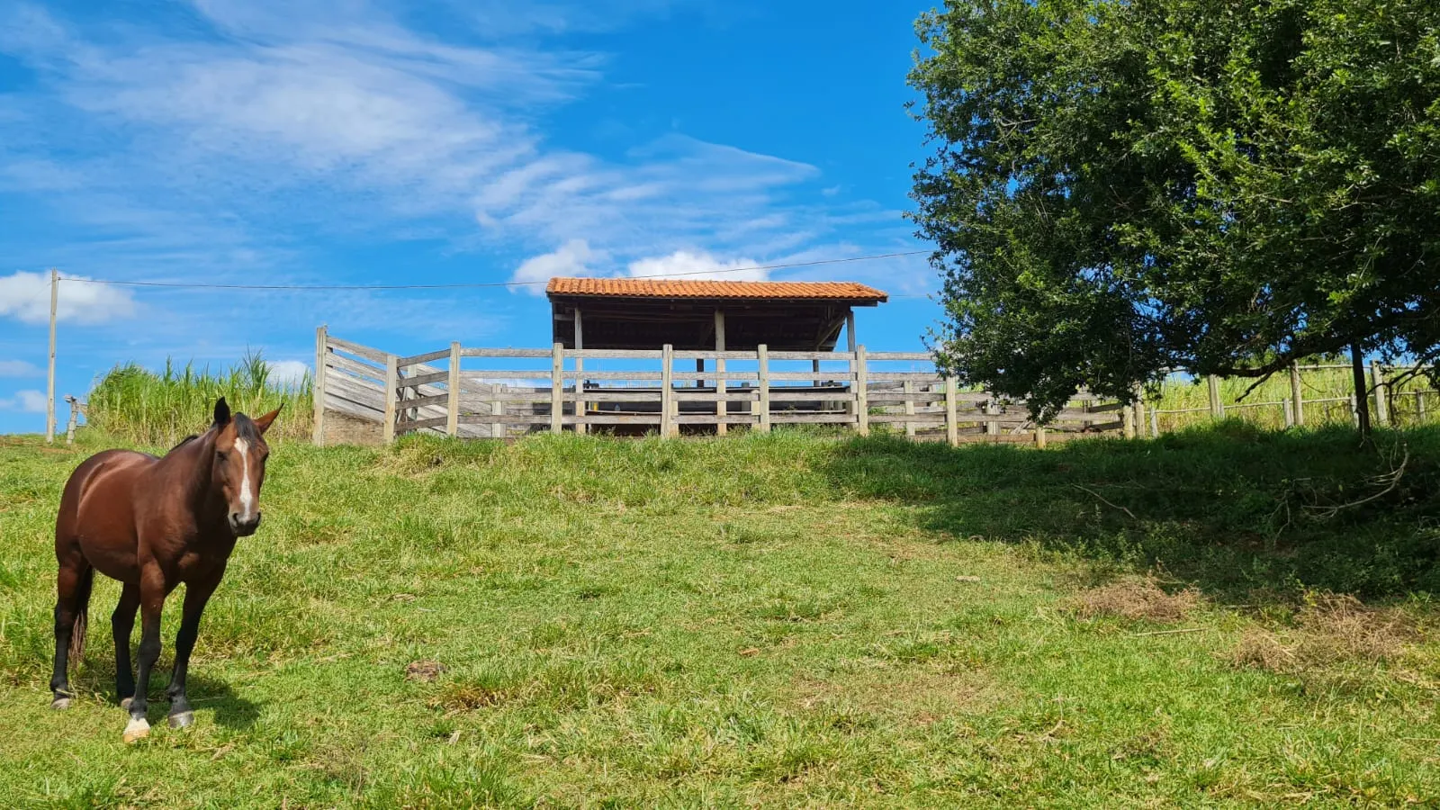 Sítio à venda de 16 ha em Piraju, SP, Brasil