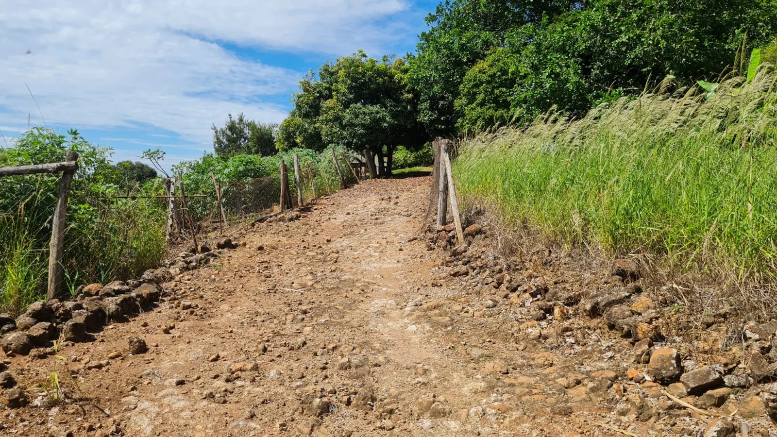 Sítio à venda de 16 ha em Piraju, SP, Brasil